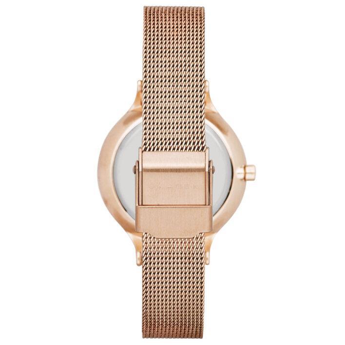 Skagen SKW2151 Silver Dial Rose Gold-Tone Women's Watch - Watch Home™